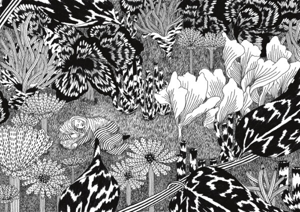 la forêt