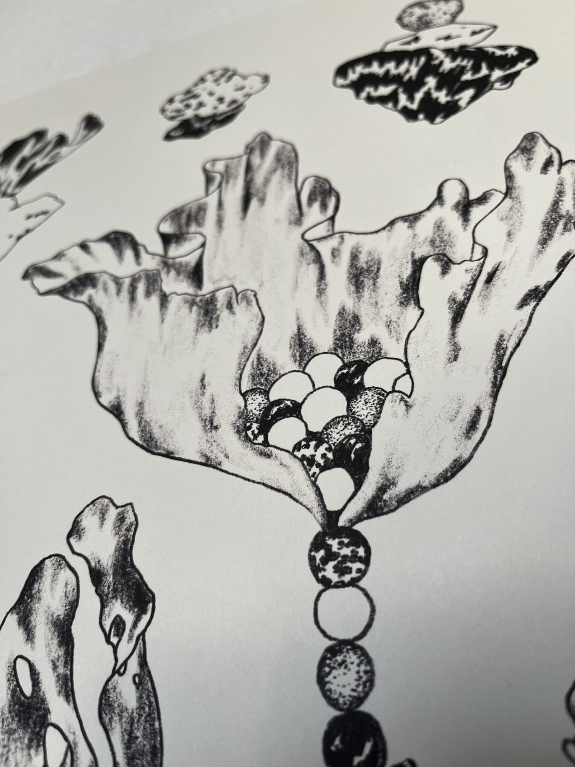 typologie – Image 2