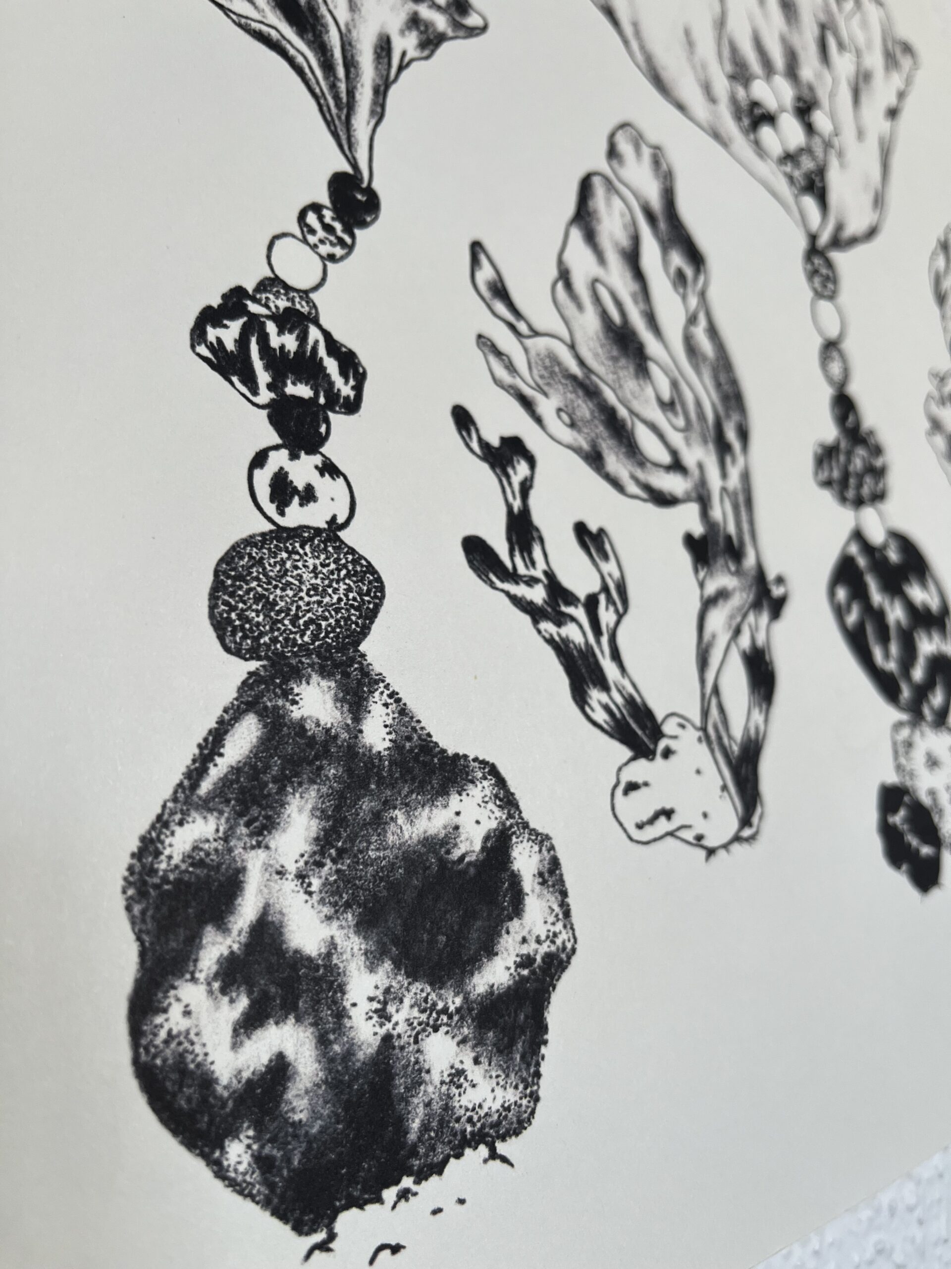 typologie – Image 3