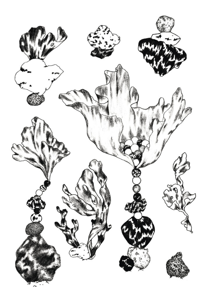 typologie