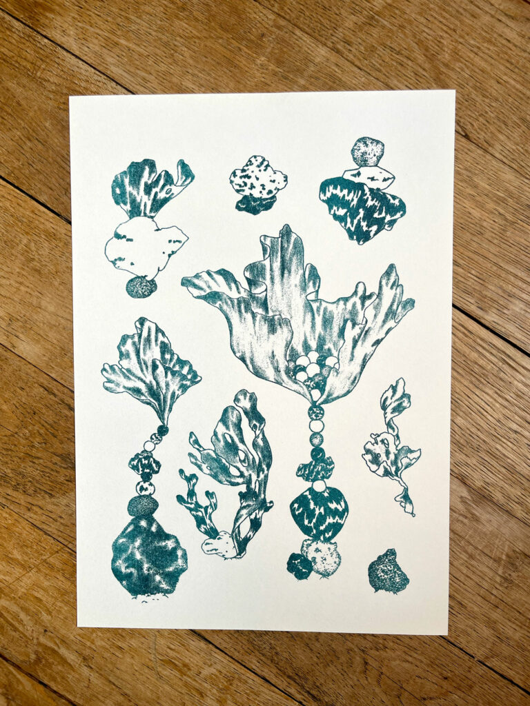 typologie risographie